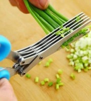 Vegetable Cutter (Herb Scissors)