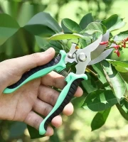 Stainless Steel Garden , Tree cutter Scissor